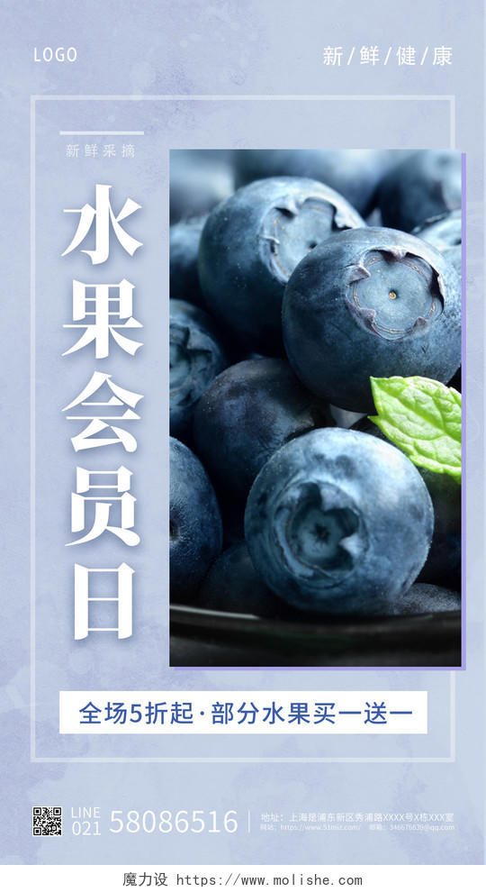 蓝色简约夏日新鲜水果海报蓝莓海报水果会员日水果ui手机海报